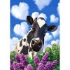 2021 Cow Full Drill Diy Diamond Painting Kits UK