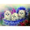 2021 Cat Diy Diamond Painting Kits UK