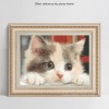 2021 Cat Diy Diamond Painting Kits UK