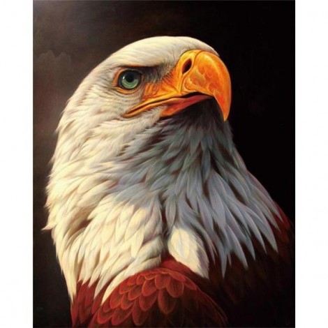 2021 Eagle Full Drill Diy Diamond Painting Kits