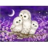 2021 Owl Full Drill Diy Diamond Painting Kits