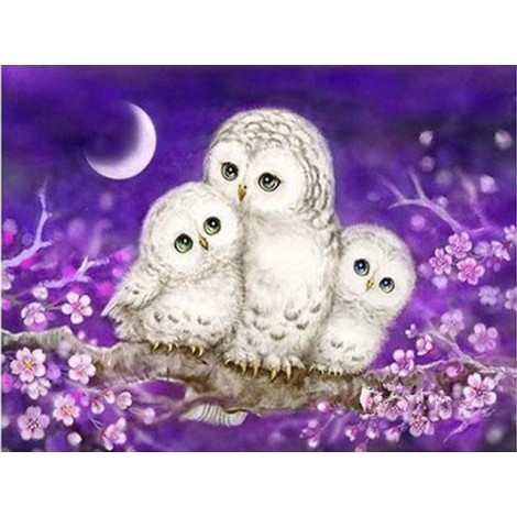 2021 Owl Full Drill Diy Diamond Painting Kits